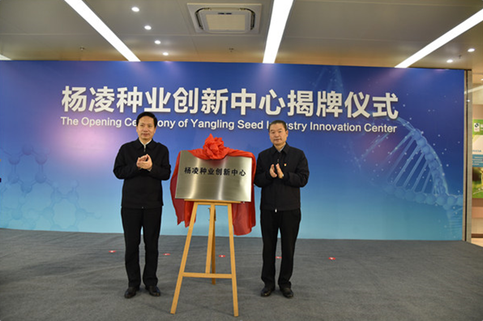 趙一德省長(zhǎng)、魏增軍副省長(zhǎng)赴楊凌調(diào)研種業(yè)發(fā)展