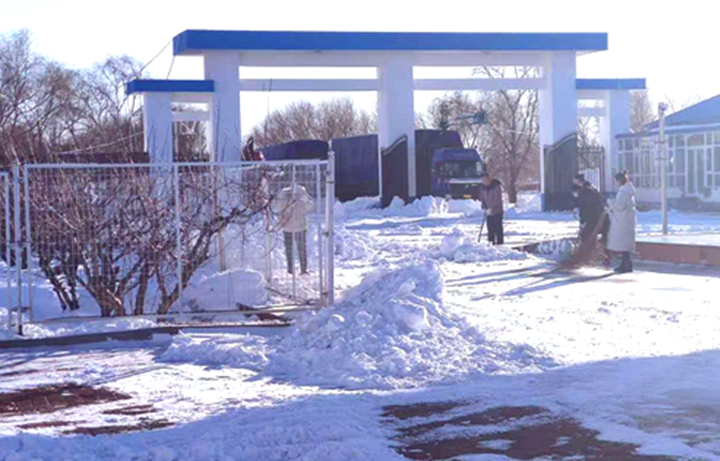 儲備糧管理集團(tuán)：戰(zhàn)嚴(yán)寒、清暴雪 集團(tuán)開魯庫保秋糧入庫