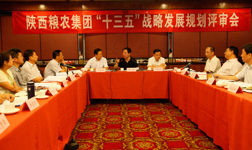 陜西糧農(nóng)集團(tuán)召開(kāi)“十三五”發(fā)展戰(zhàn)略規(guī)劃評(píng)審會(huì)