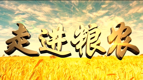 4分鐘，閱讀奮斗崛起中的糧農(nóng)集團(tuán)！