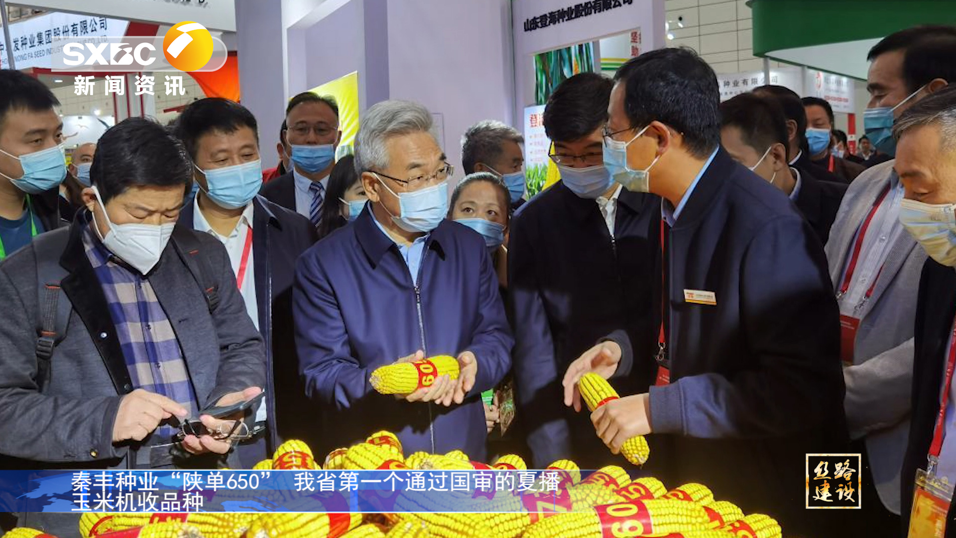 陜西電視臺(tái)《絲路建設(shè)》：秦豐種業(yè)“陜單650”我省第一個(gè)通過國(guó)審的夏播玉米機(jī)收品種